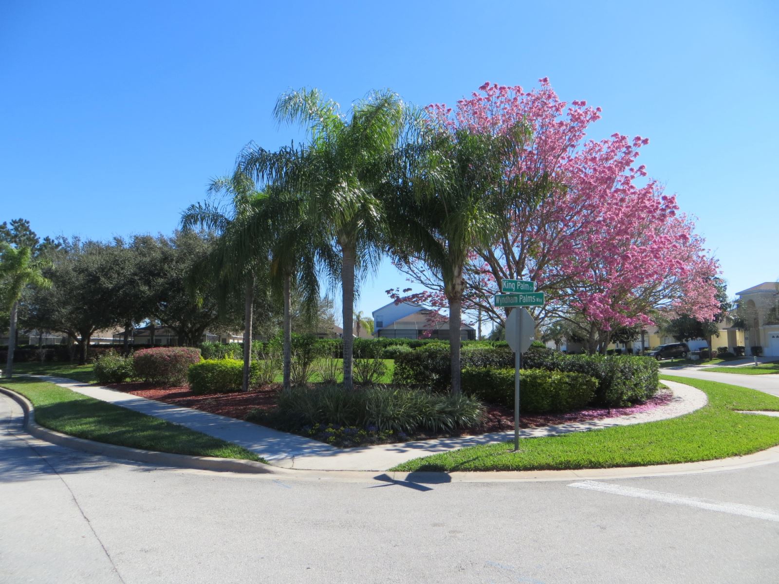 Beautiful windsor palms villas neat to Disney World